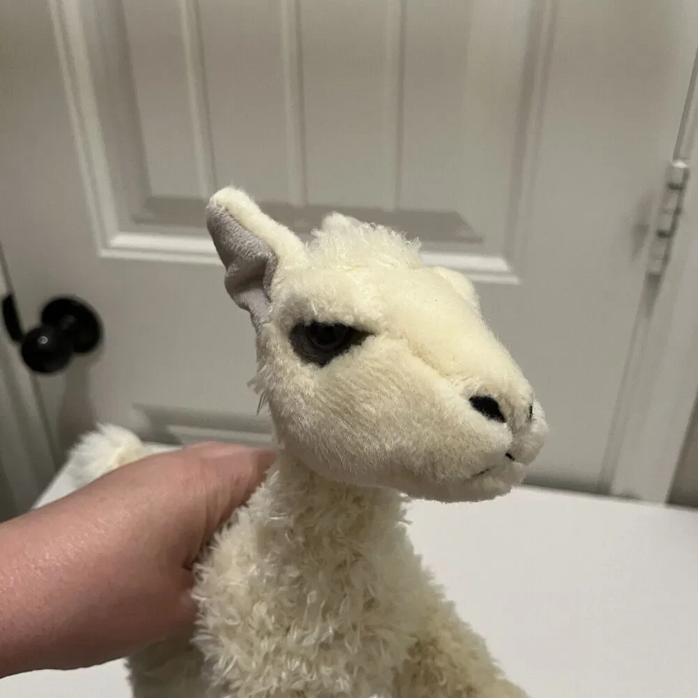 Aurora Flopsie LLAMA  10